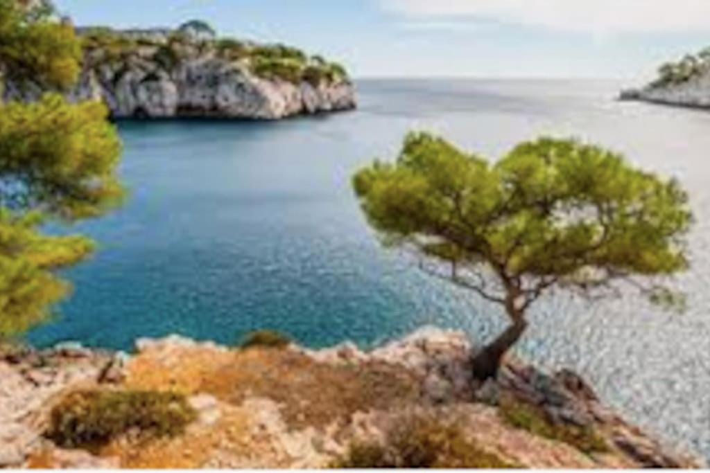 Entiere. Alpilles Aix Marseille Avignon. * Istres